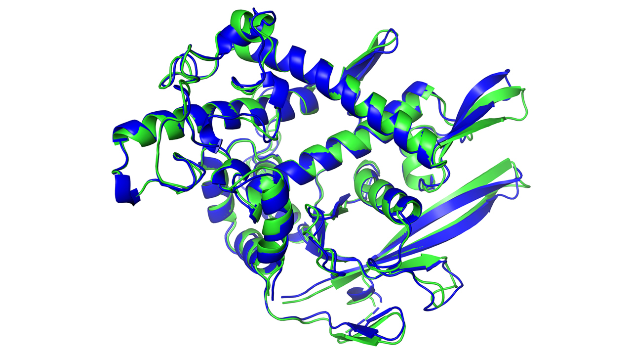 ProteoDockNet